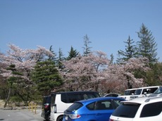 s2016.4.30 1.jpg